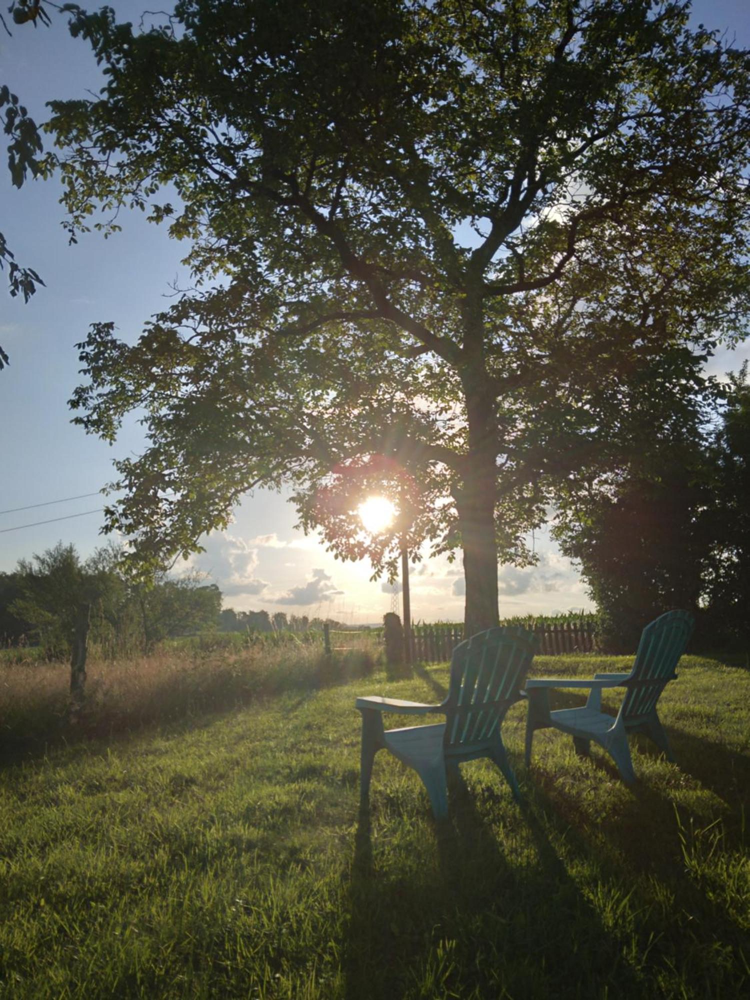 Вілла Reids Retreat La Roche-l'Abeille Екстер'єр фото